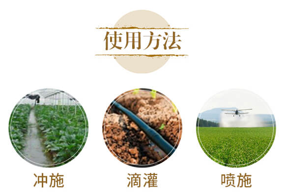 根窝沃-菌根真菌微生物多元素液肥-和阳生物_05