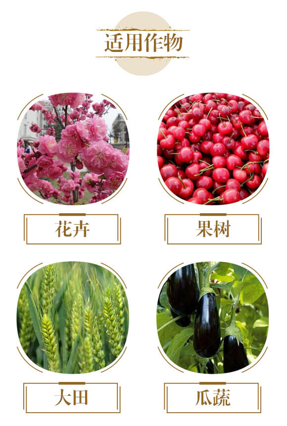 根窝沃-菌根真菌微生物多元素液肥-和阳生物_04