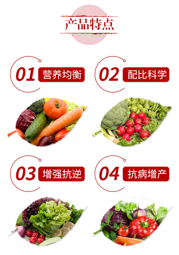 窝里横--蔬菜果树定植肥-和阳生物_03